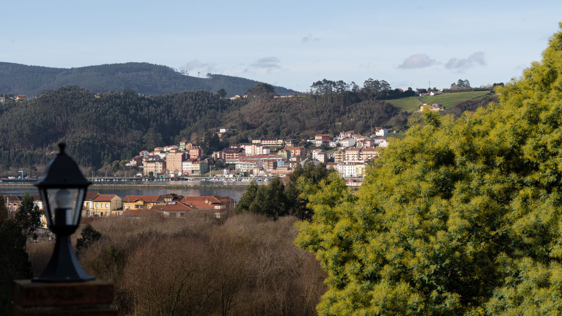 Las Mimosas del Nalón