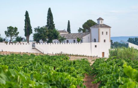 Finca Calderón Enoresort