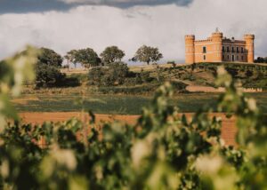 Bodega Castillo de Monte La Reina