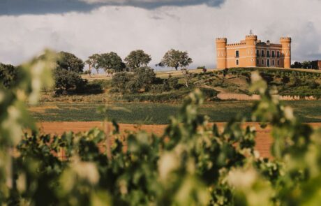 Bodega Castillo de Monte La Reina