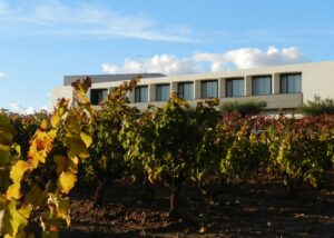 Bodega Finca de los Arandinos