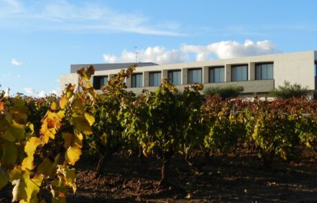 Bodega Finca de los Arandinos