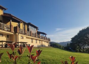 Las Mimosas del Nalón