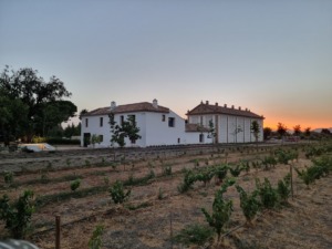 Elisabeth Mantas Pinto