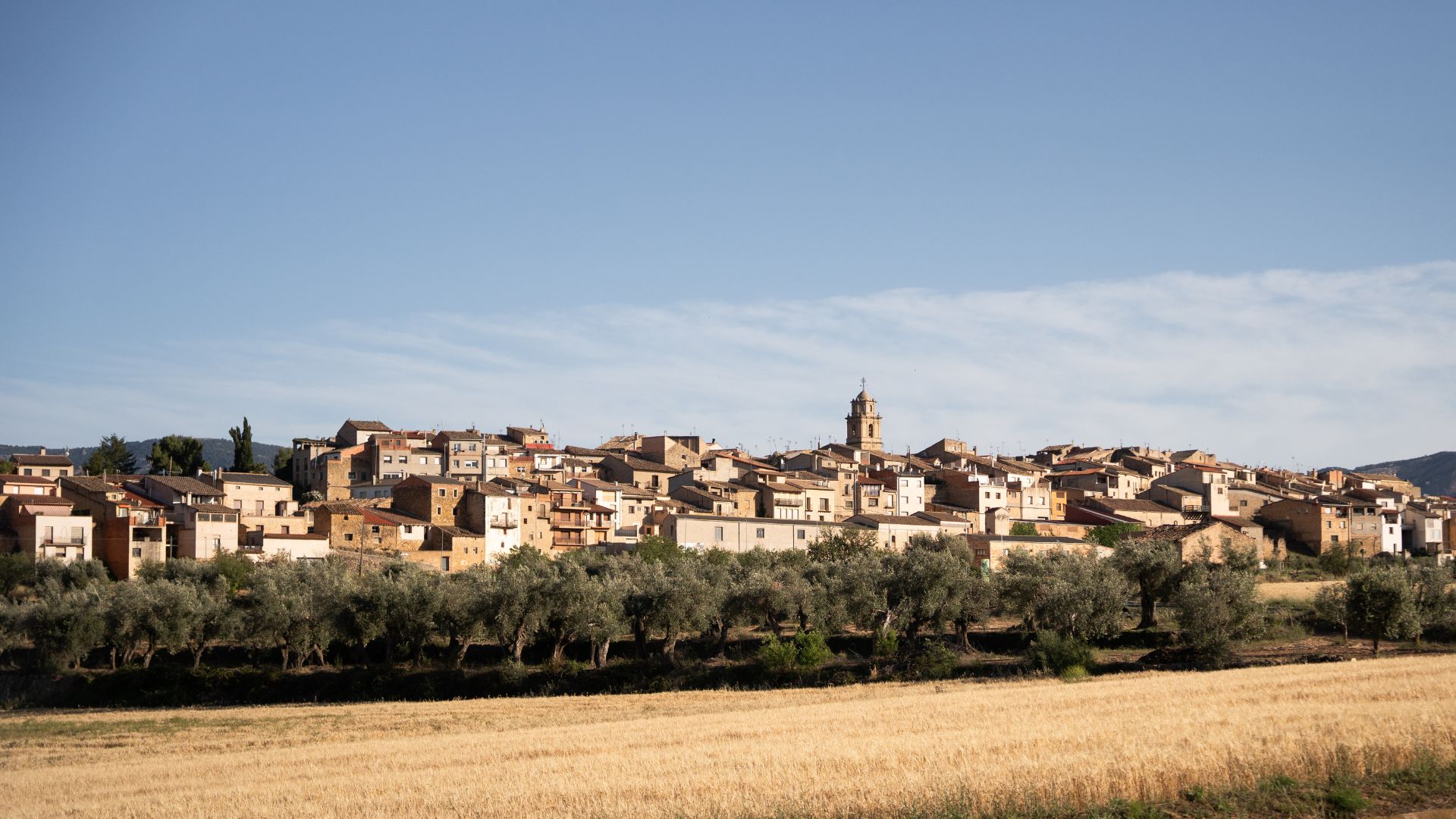 L'Hort de Fortunyo