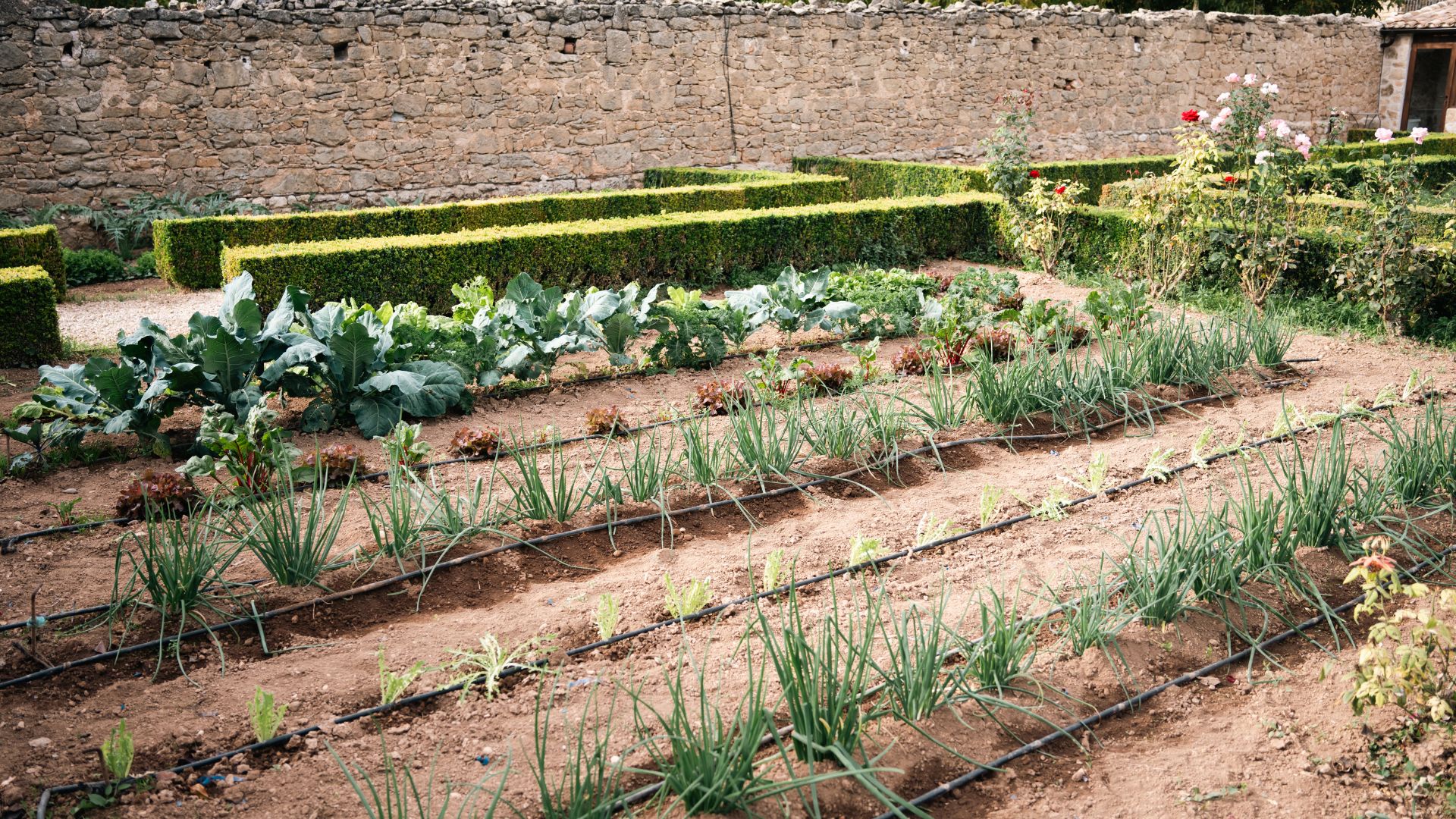 L'Hort de Fortunyo