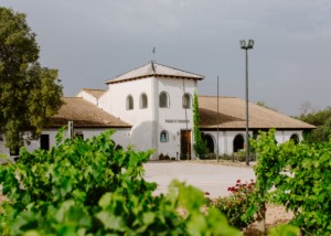 Bodega Pago de Tharsys
