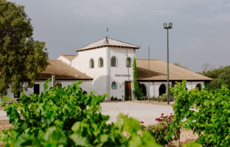 Bodegas Pago de Tharsys