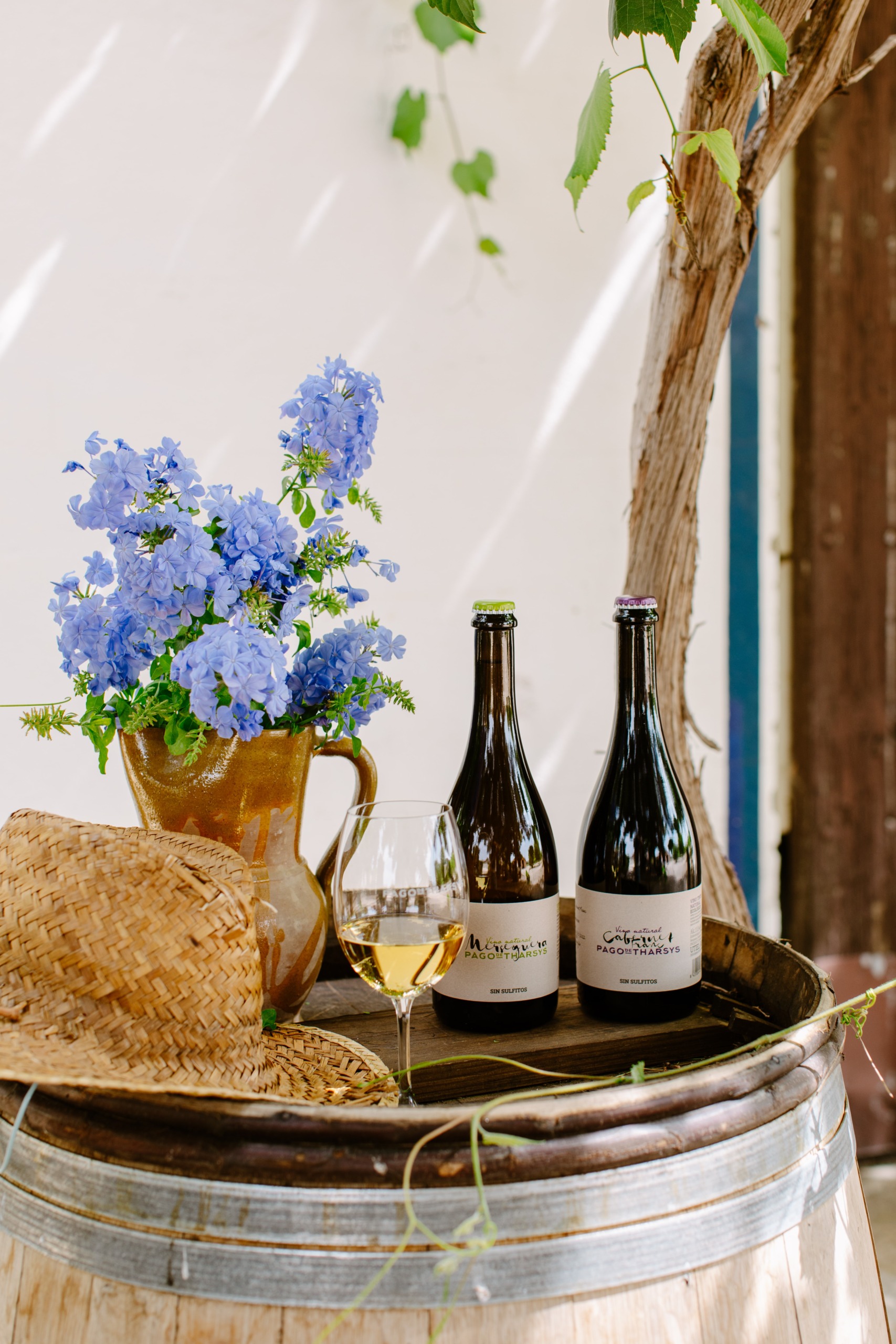 Bodega Pago de Tharsys