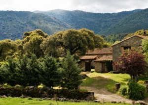 La Trocha de Hoyorredondo