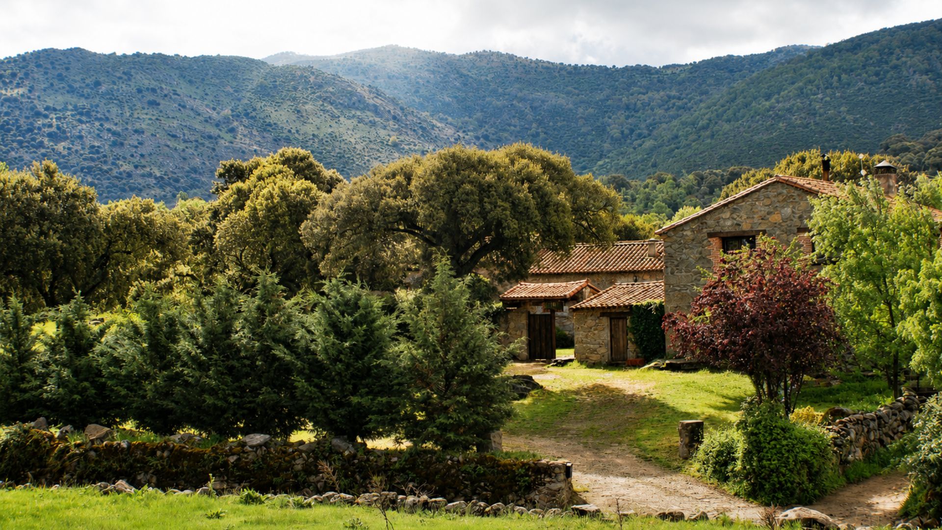 La Trocha de Hoyorredondo