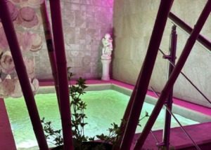 Centro Wellness Los Tilos