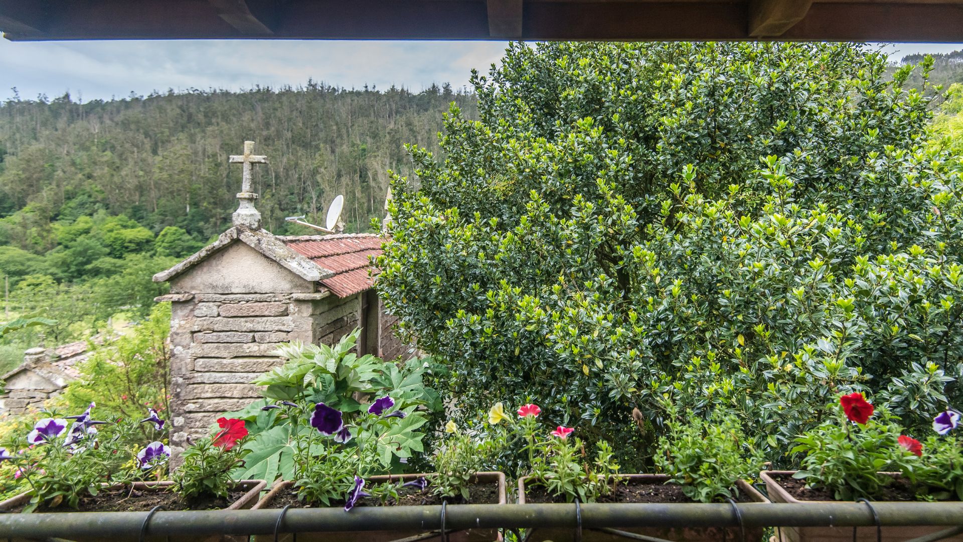 Casa Perfeuto María