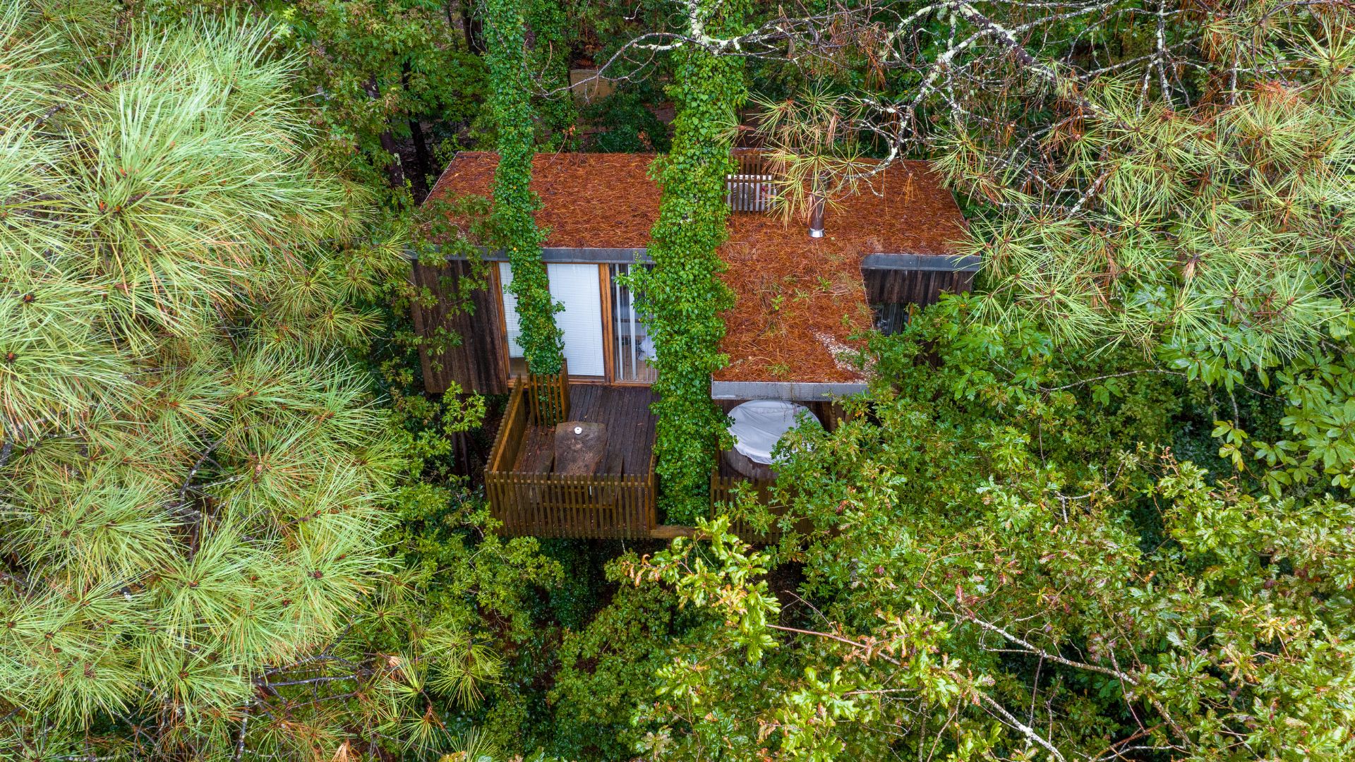 Cabañitas del Bosque