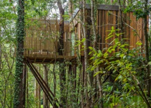 Cabañitas del Bosque