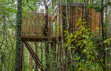Cabañitas del Bosque