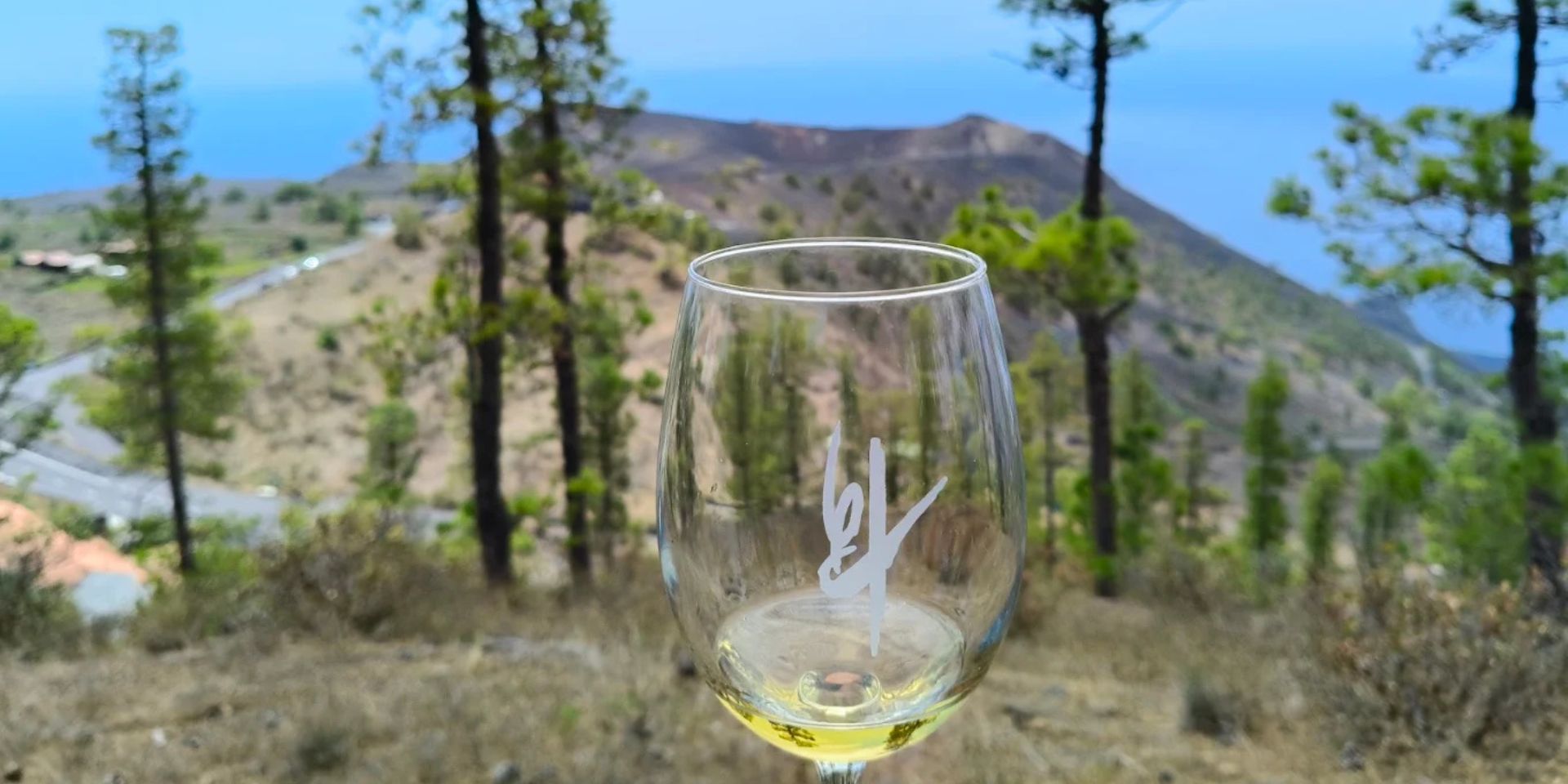 Bodegas Teneguía