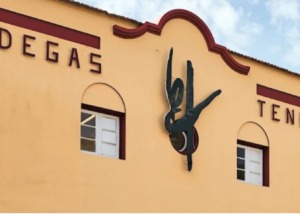 Bodegas Teneguía