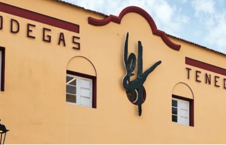Bodegas Teneguía
