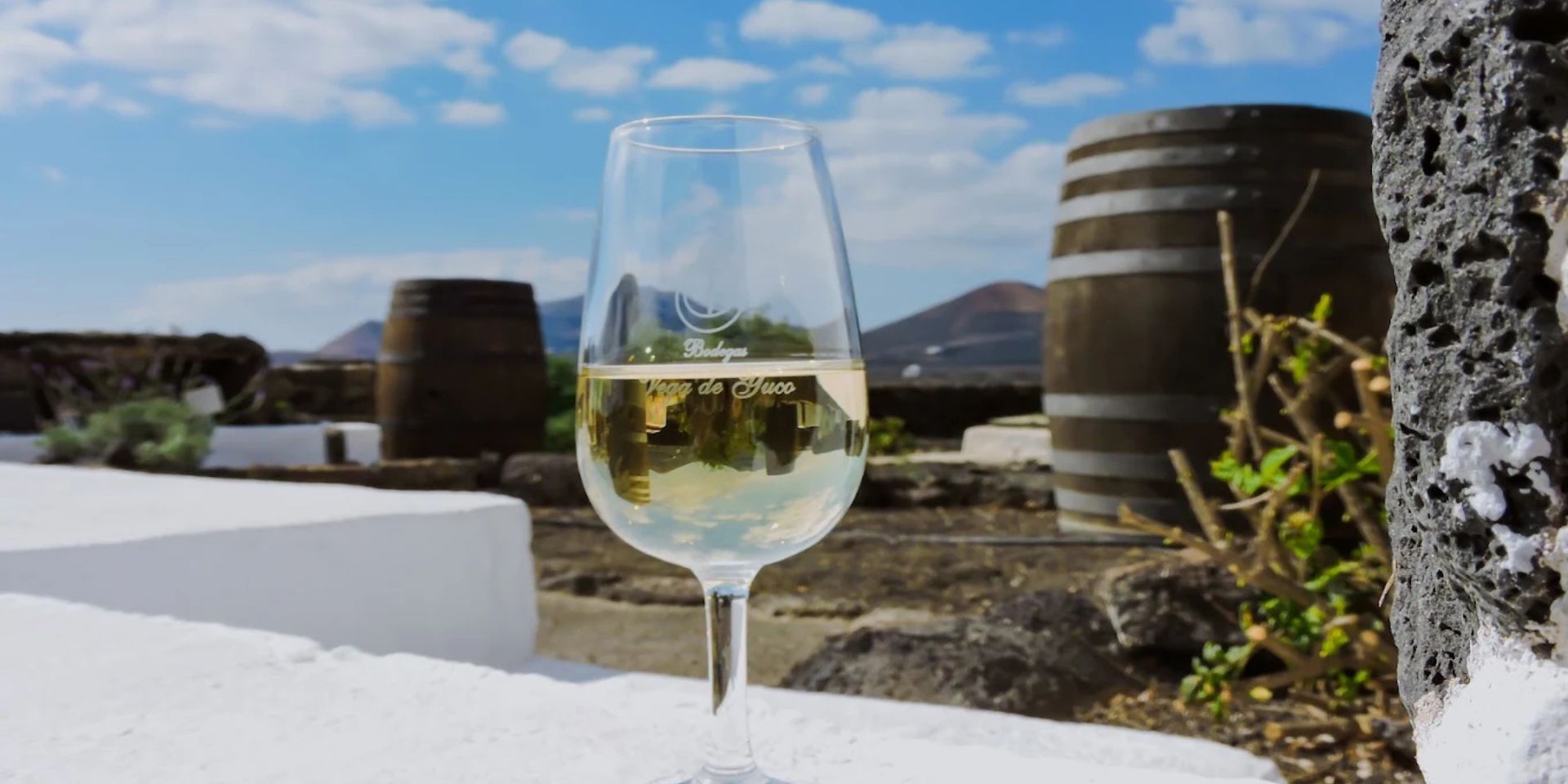 Bodegas y Viñedos Vega de Yuco