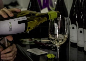 Bodegas Vidas
