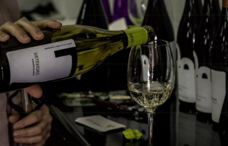 Bodegas Vidas