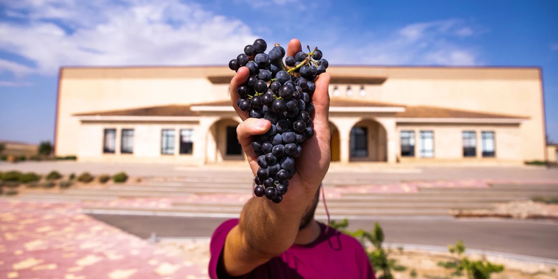Bodegas Tempore