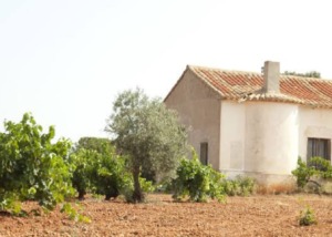 Bodegas Vega Tolosa