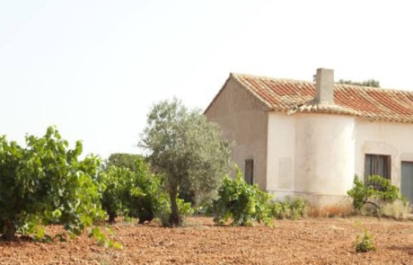 Bodegas Vega Tolosa