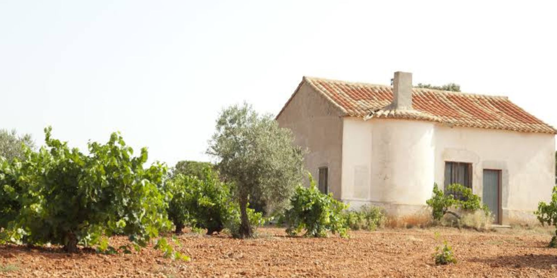 Bodegas Vega Tolosa
