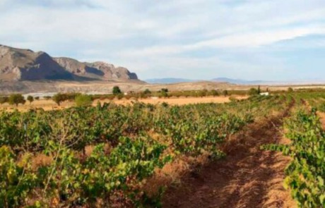 Bodegas Jabalcón