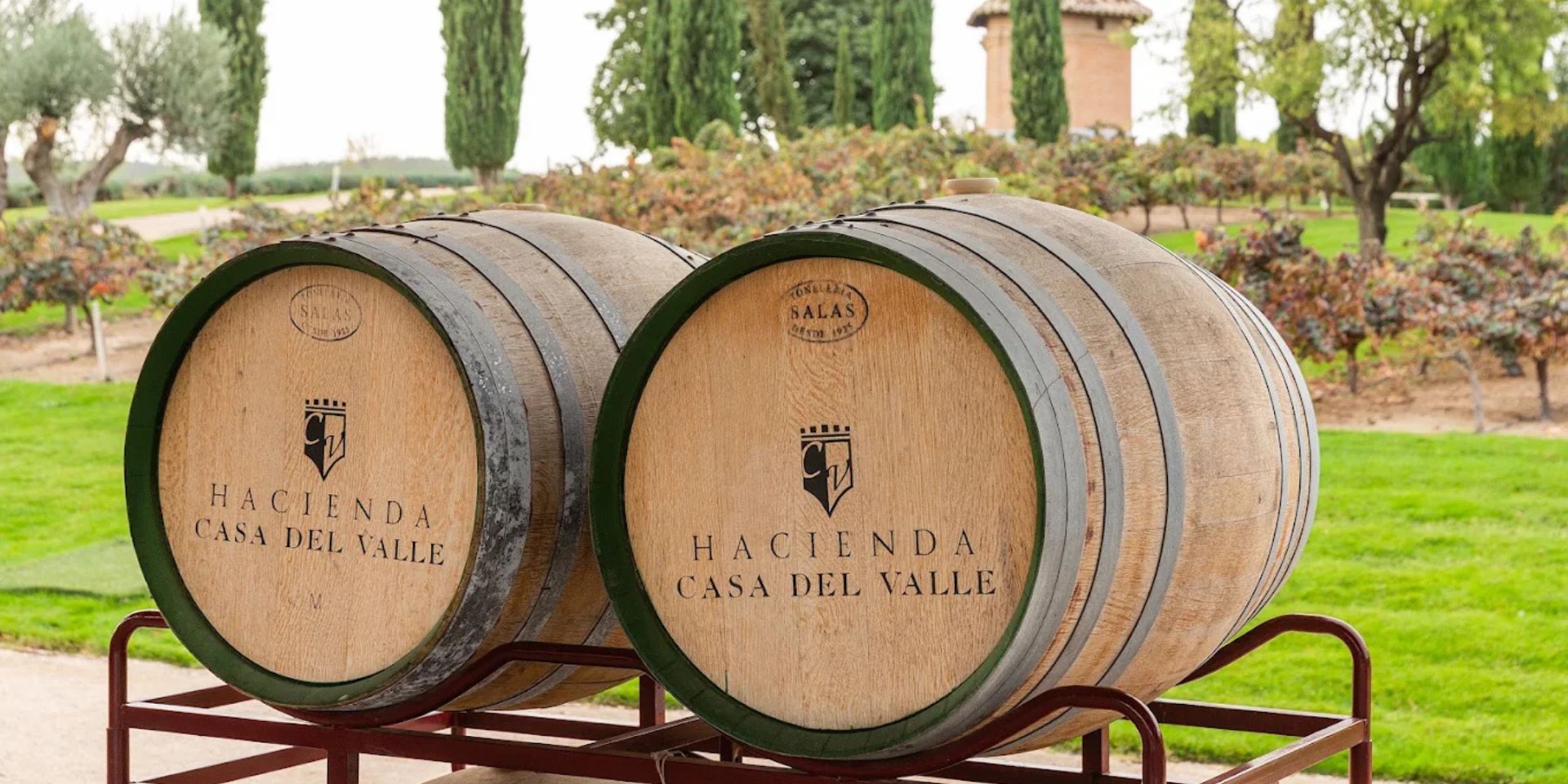 Bodegas y Viñedos Casa del Valle