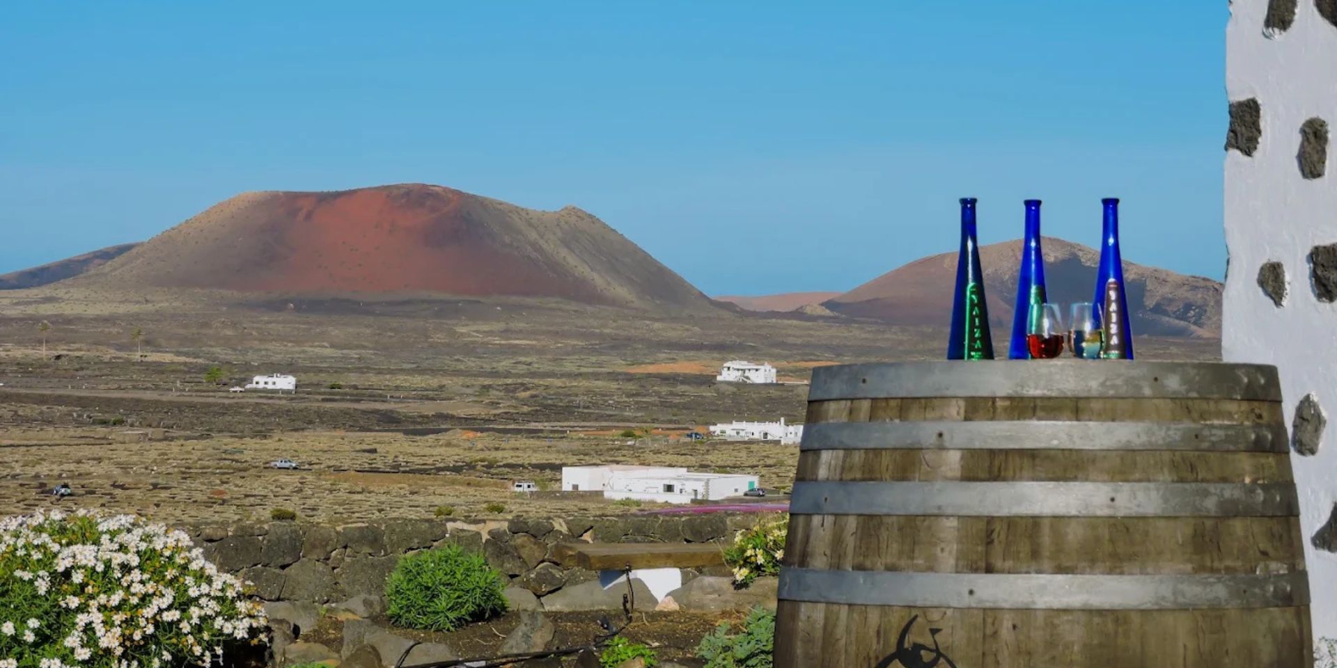 Bodegas y Viñedos Vega de Yuco