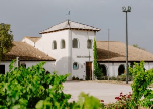 Bodegas Pago de Tharsys