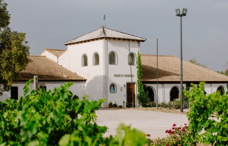 Bodegas Pago de Tharsys