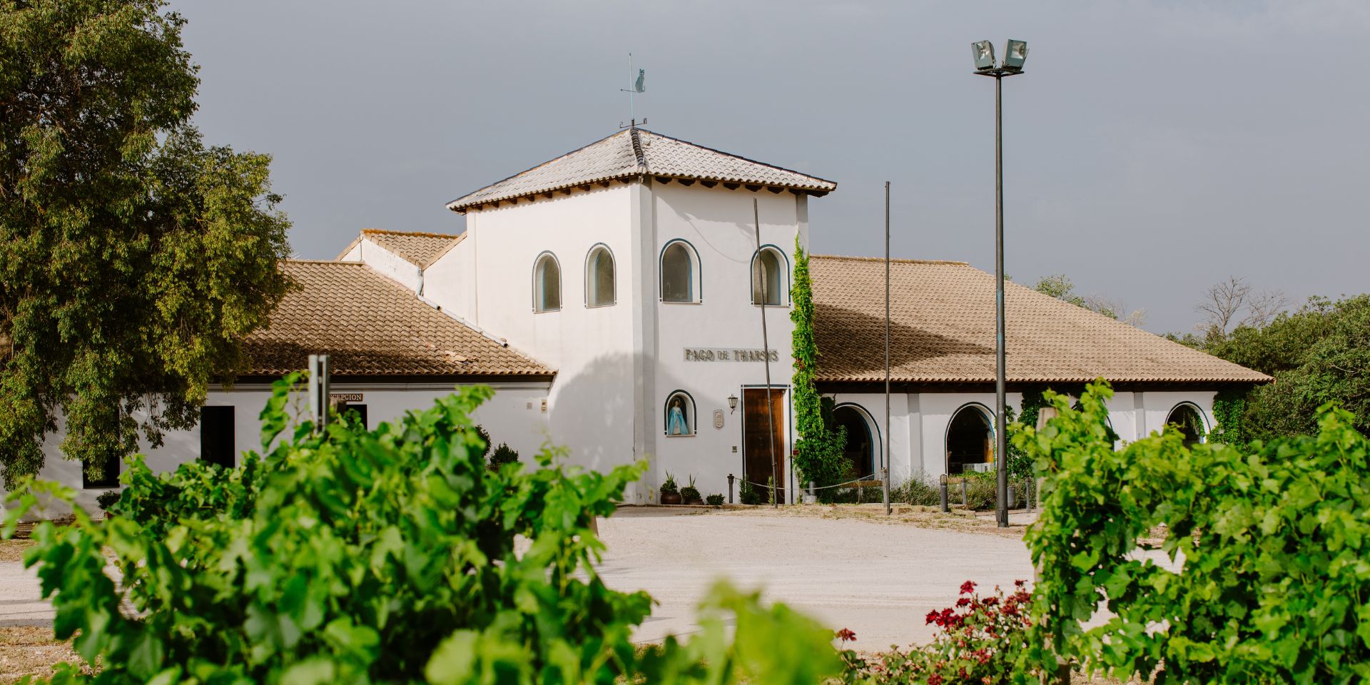 Bodegas Pago de Tharsys