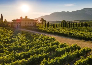 Bodegas Torre de Oña