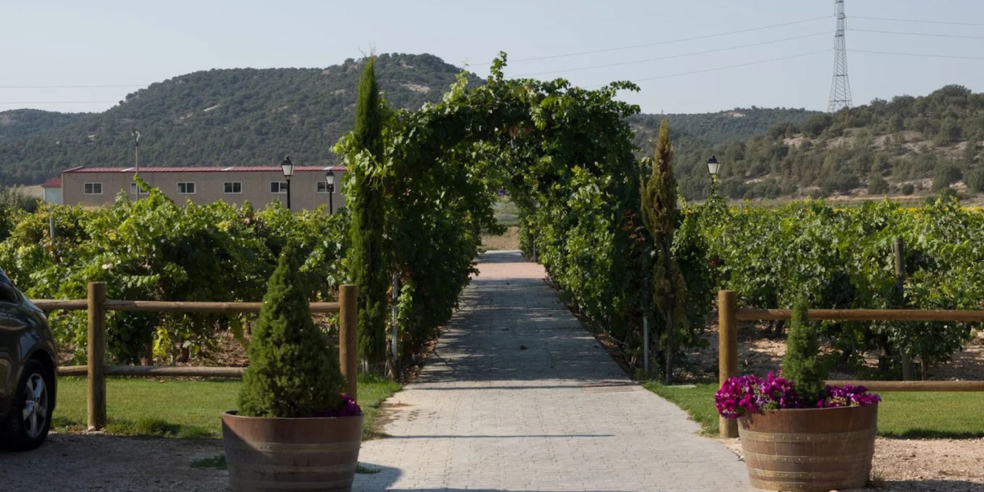 Bodegas El Lagar de Isilla