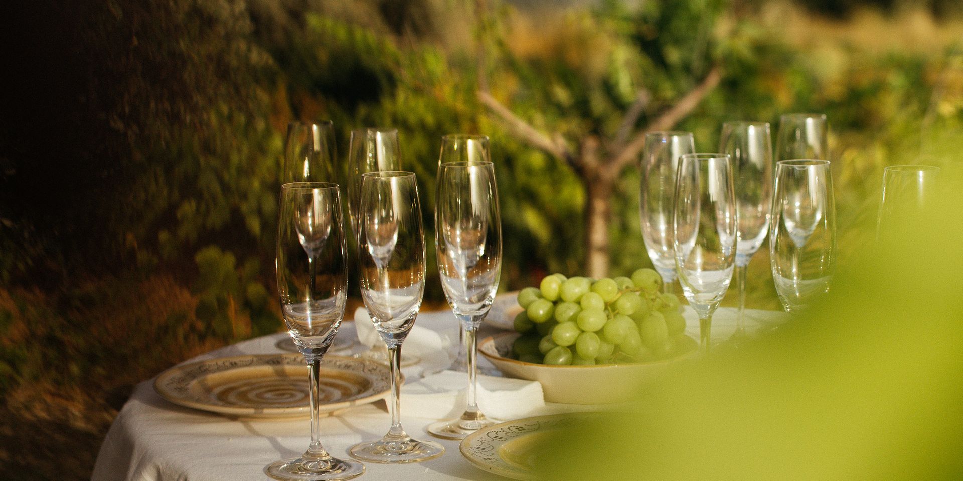Bodegas Bayodeborrás