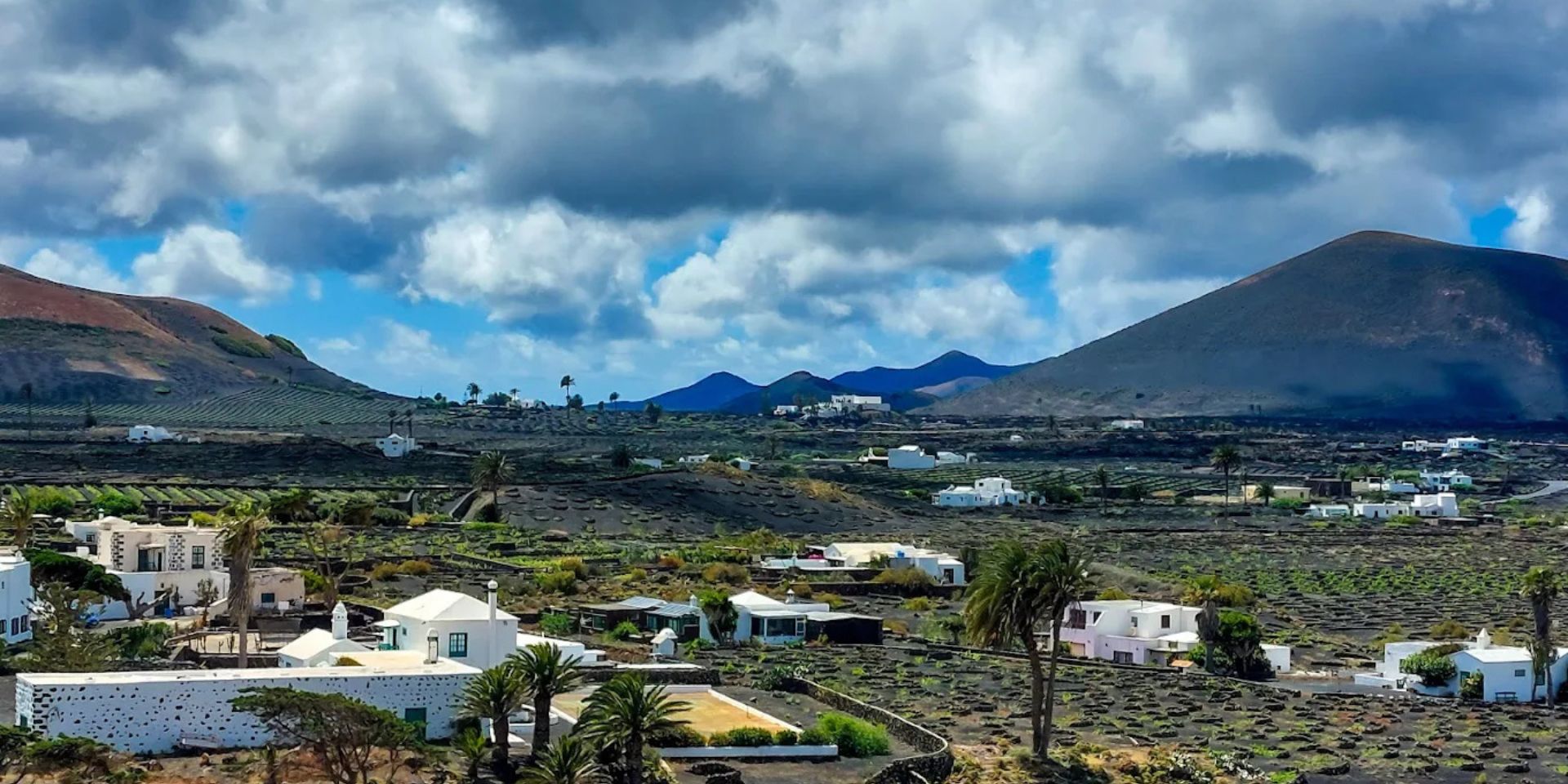 Bodegas y Viñedos Vega de Yuco