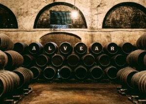 Bodegas Alvear