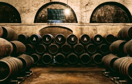 Bodegas Alvear