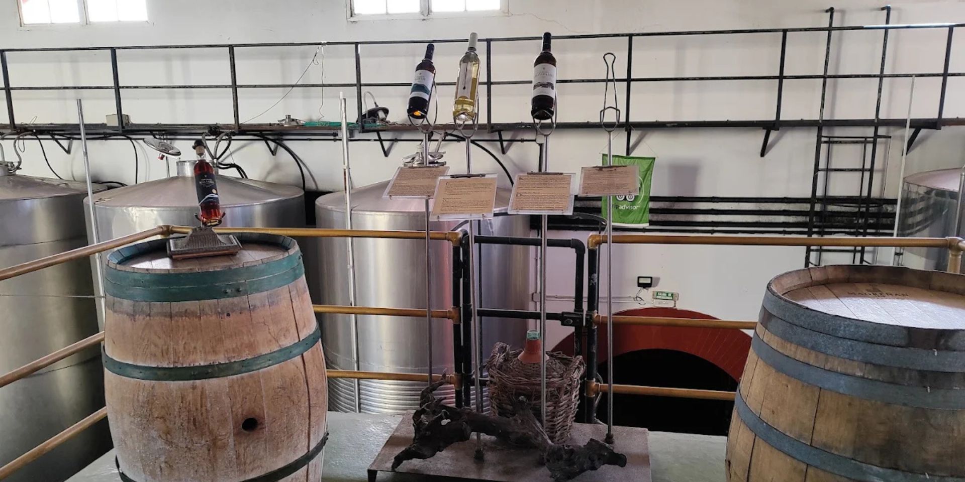 Bodegas Teneguía