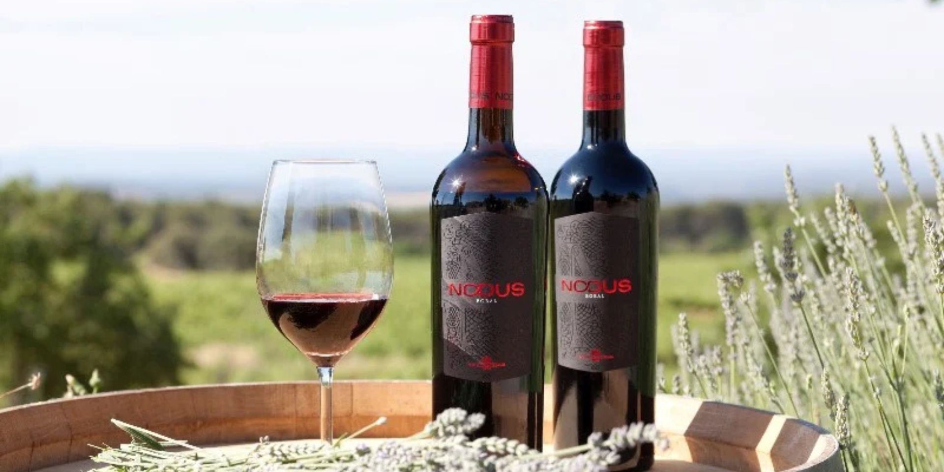 Bodegas Nodus