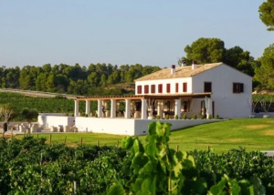 Bodegas Clos Cor Ví