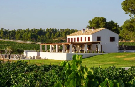 Bodegas Clos Cor Ví