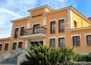 Bodegas y Viñedos Pradorey