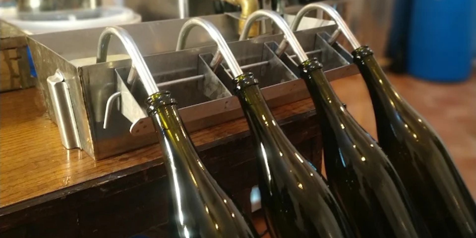 Bodegas Bayodeborrás