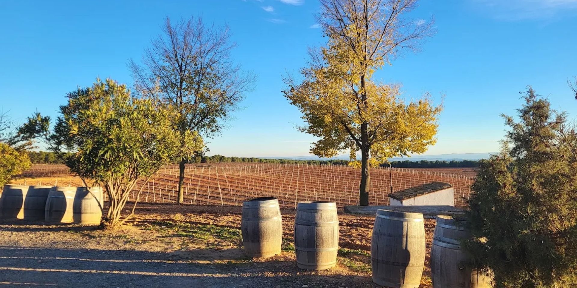 Bodegas Nodus