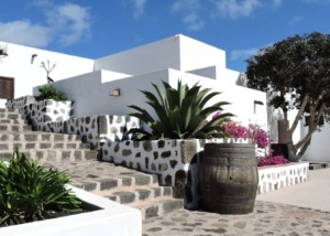 Bodegas y Viñedos Vega de Yuco